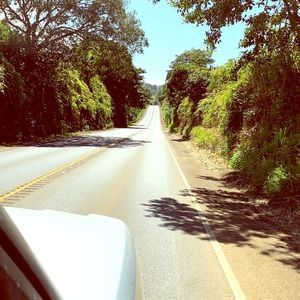 Meet your Posher, Laure